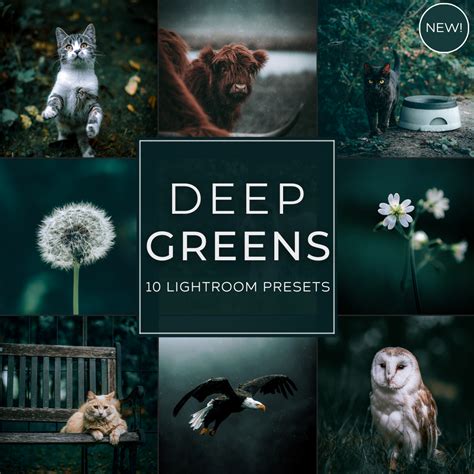 Pack 30 lightroom presets vintage – Artofit