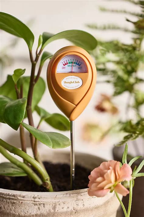 Using Plant Moisture Meter 的图像结果
