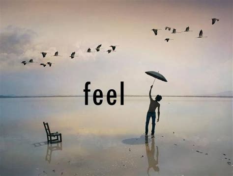Emotion and feeling wheel - David Hodder