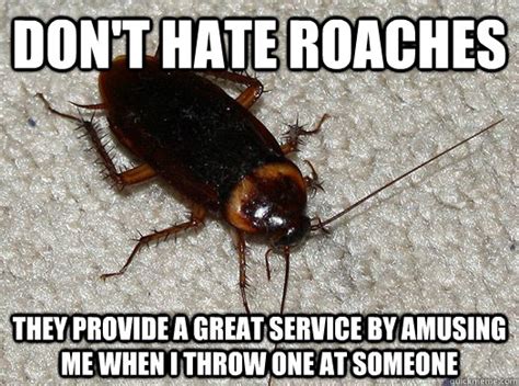 Cockroach Meme 的图像结果