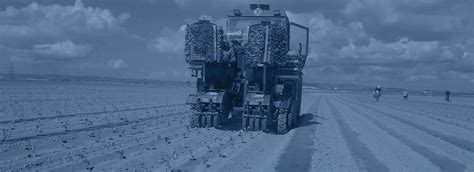 Image result for Ferrari Transplanter