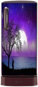 urban colours of rajasthan Single Door Fridge Sticker (60cm x 120cm ...