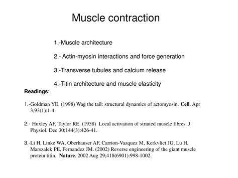 Image result for What Is Muscle Architecture Force Generation