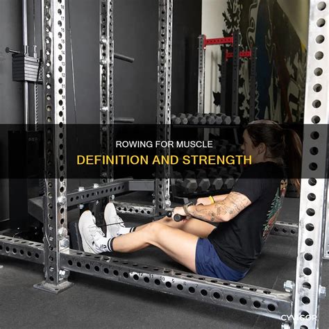 Image result for Cable Row Muscles