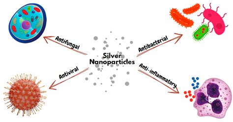 Silver Nanoparticles and Their Therapeutic Applications in Endodontics: A Narrative Review