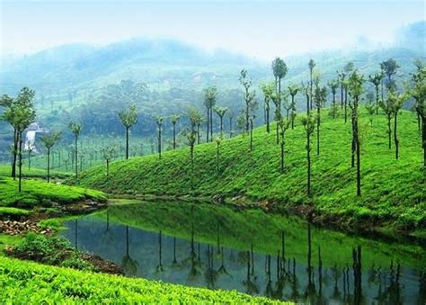 The 8 Wettest Places Of India - Hello Travel Buzz