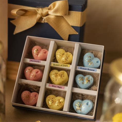 Electric Diffuser & Wax Melt Box – Twin Flames India