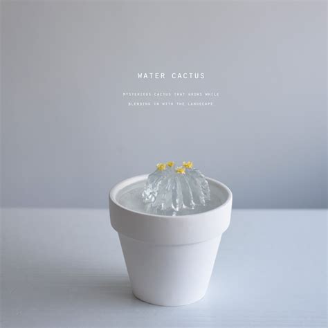 water cactus（金盛丸） | Sabotensi
