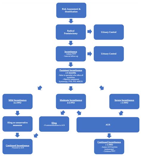 Artificial Urinary Sphincters for Moderate Post-Prostatectomy Incontinence: Current Research and ...