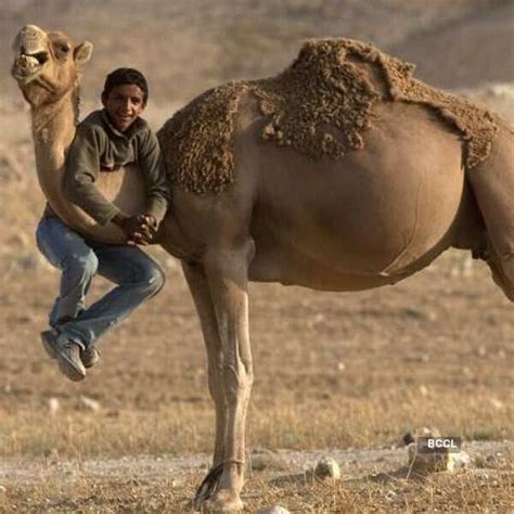 Horribly funny pics of animals Pics | Horribly funny pics of animals ...