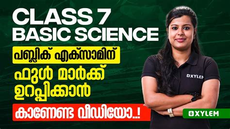 Image result for Xylem Class 7 Basic Science