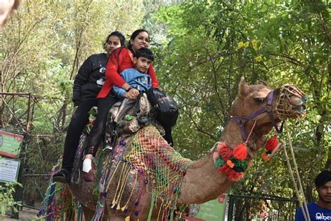 PRATAPGARH FARMS AND RESORTS (Jhajjar, Haryana) - Ranch Reviews ...