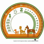 Image result for Grade Level Age Chart