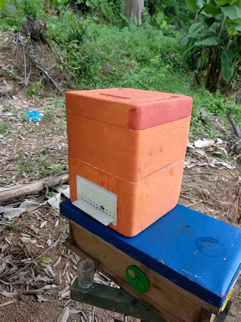 Image result for Basic Beekeeping Course