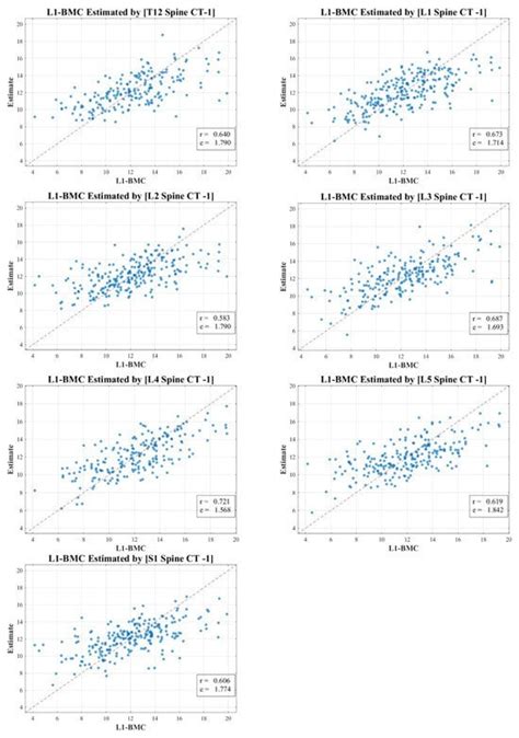 Elucidating the Correlation between Bone Mineral Density and Multifidus ...