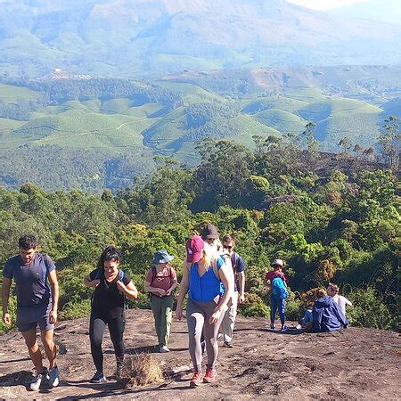 Lovely day out in the munnar hills - Reviews, Photos - Munnar tea Green ...