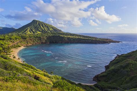 The Best Snorkeling on Oahu