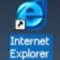 Image result for Internet Explorer Icon File 95