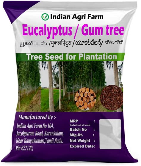 Iagrifarm Eucalyptus/Gum tree/Nilgiri tree/Safeda tree seeds - 250 gram ...