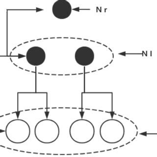 Classification Structure 的图像结果