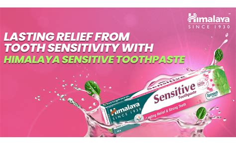 Himalaya Herbals Sensitive Toothpaste, 80g : Amazon.in: Health ...