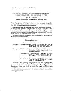 Callionymus jonesii, a new callionymid fish (Pisces : Callionymidae ...