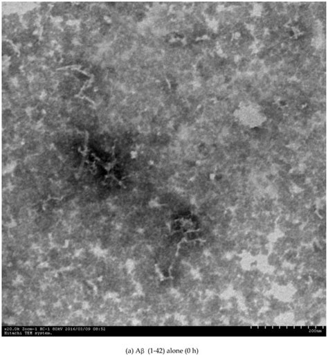 Synthesis and Evaluation of Novel Ligustrazine Derivatives as Multi ...