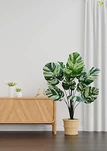 Buy Blooming Floret Artificial MonsteraTree with Basic Black Pot | 11 ...