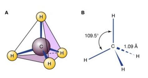 What are the 2 types of compounds? - Brainly.in