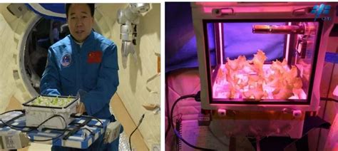 中国人在太空存粮丰富最新素材