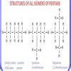 what are isomers of pentane ? - Brainly.in