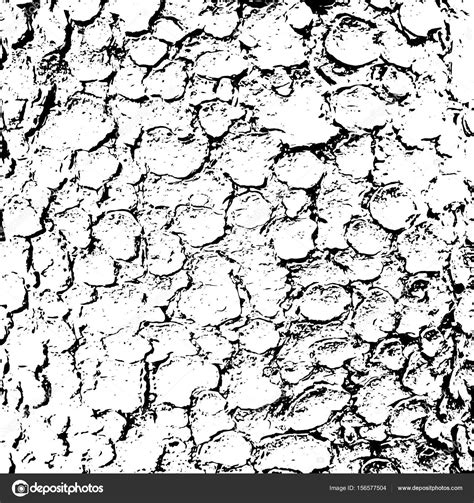 Image result for Tree Bark Simple Drawing