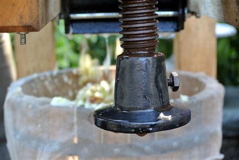 Image result for screw press  apple cider