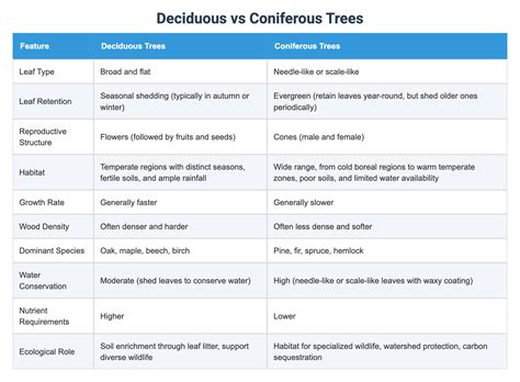 Deciduous vs Coniferous Trees