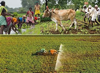 Indian agriculture is land scale neutral | Business Economics