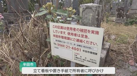 Image result for Alien Garden Party