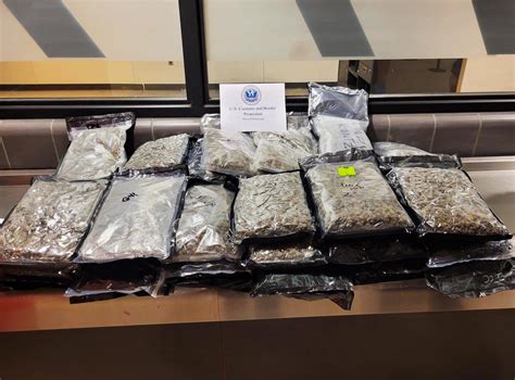 Over 54 pounds of cannabis found in rare bust at Pittsburgh ...