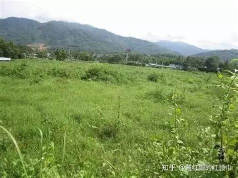 破坏农田，违规修建 - 市长黄河 - 眉山 - 四川省 - 问政四川—四川第一网络问政理政平台