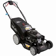 Image result for Stylish lawn mowers