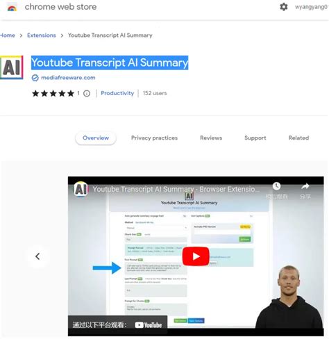 Image result for How to Transcript Ai YouTube Video