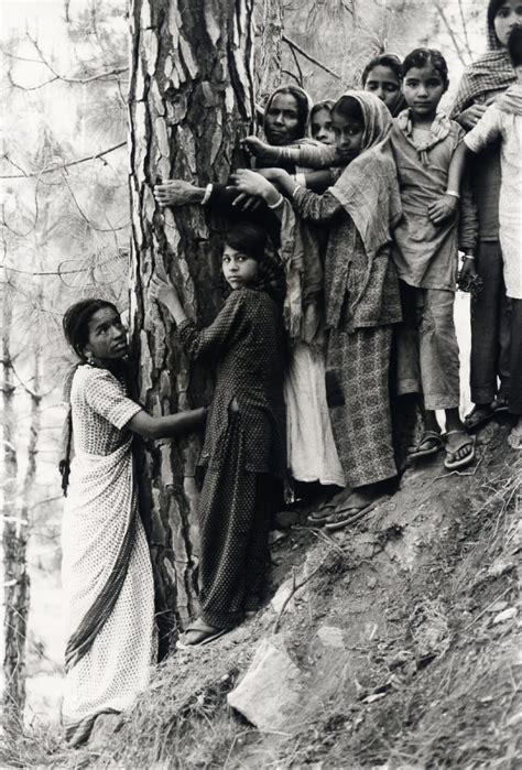 Image result for Chipko Movement Introduction