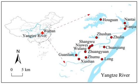 Drainage Ratio Controls Phytoplankton Abundance in Urban Lakes