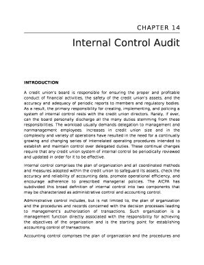 Internal Control Audit Doc Template | pdfFiller