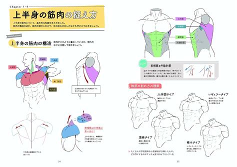 How to draw BL Manga muscles basics techniques | Ubuy India