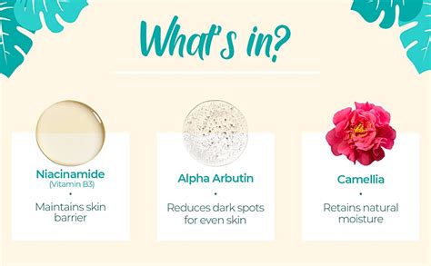 Pilgrim 5% Niacinamide Serum+1% Alpha Arbutin For Skin Clarifying,Acne ...