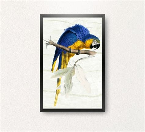 Image result for Poster Paper