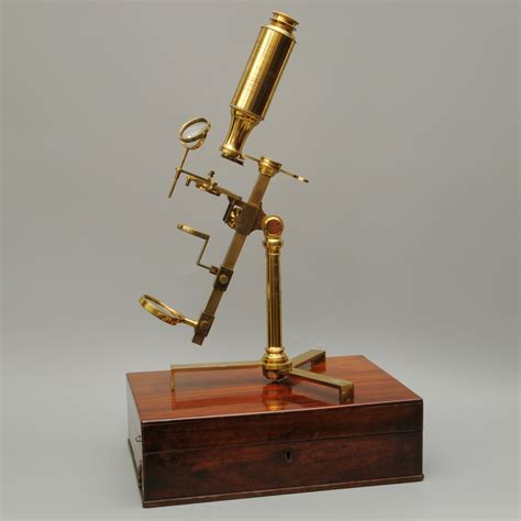 Who Invented The First Crude Microscope By Grinding Glass | Storables