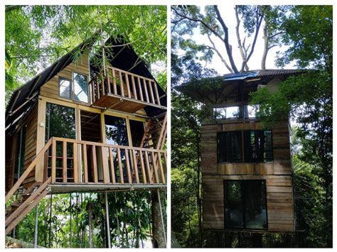 Treehouse 的图像结果