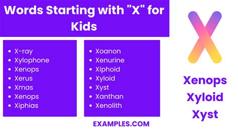 450+ Words Starting with X List, Meaning, PDF