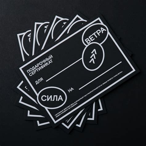Сила ветра — гонки и экспедиции на парусных яхтах